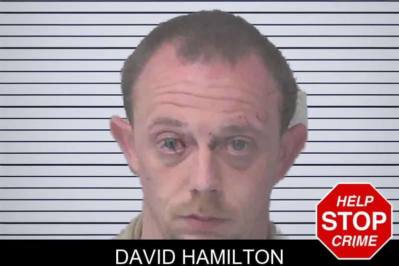 David Hamilton mugshot