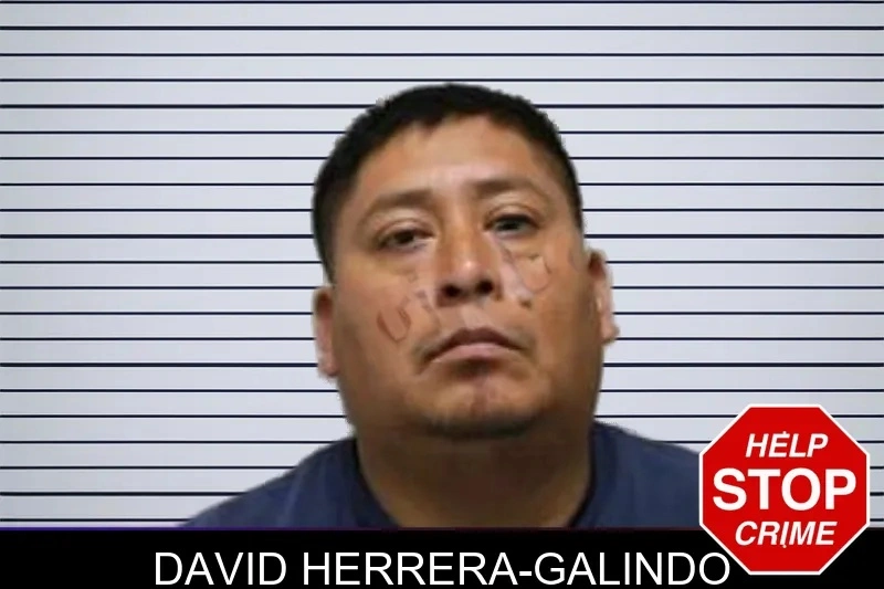 David Herrera-Galindo mugshot