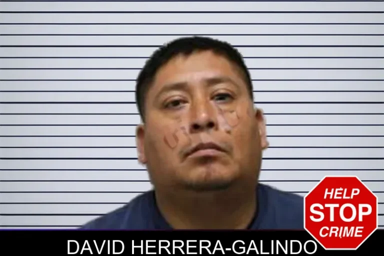 David Herrera-Galindo mugshot – Harris County , Georgia David Herrera-Galindo
