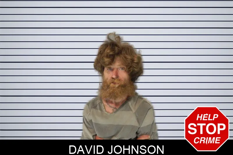 David Johnson mugshot – Hall County , Georgia David Johnson mugshot