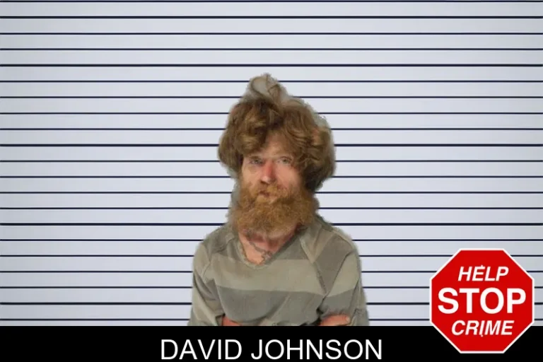 David Johnson mugshot – Gwinnett County , Georgia David Johnson