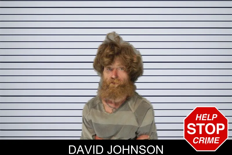 David Johnson mugshot