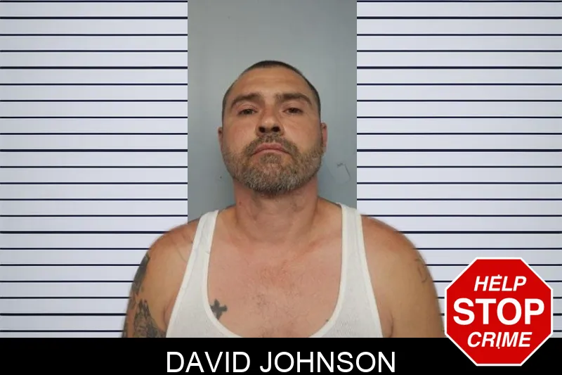 David Johnson mugshot