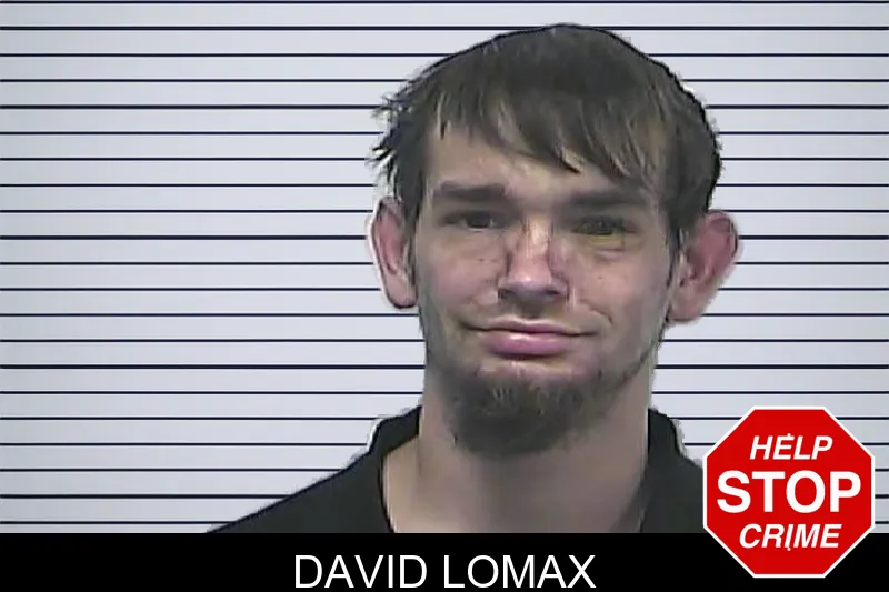 David Lomax mugshot