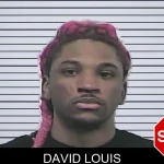 David Louis mugshot