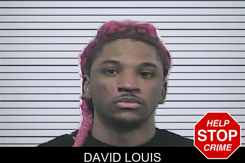 David Louis mugshot