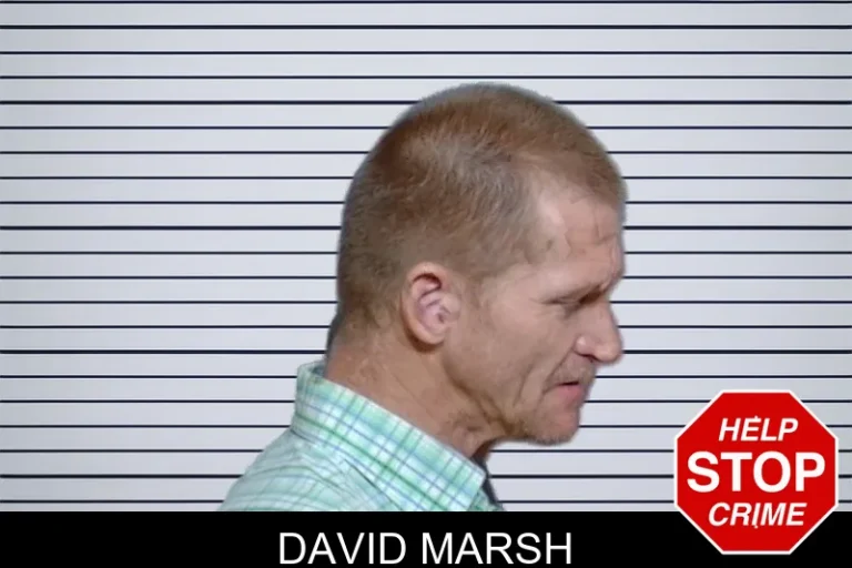 David Marsh