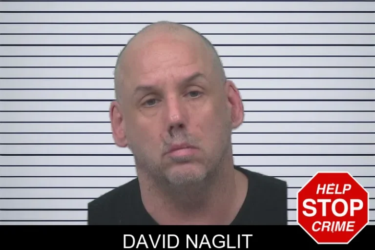 David Naglit mugshot – Gwinnett County , Georgia David Naglit