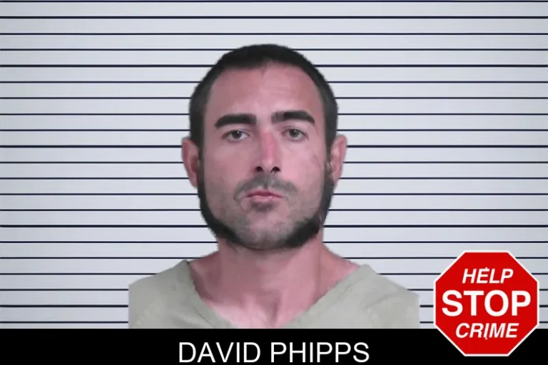 David Phipps