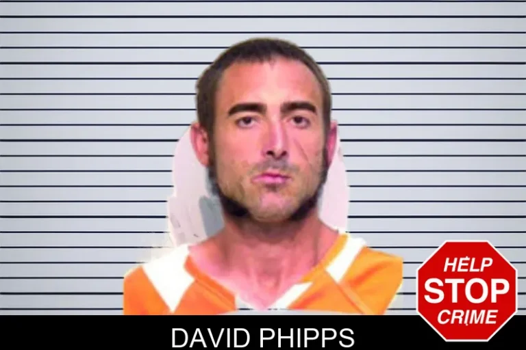 David Phipps