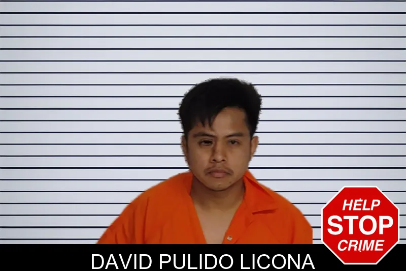 David Pulido Licona mugshot