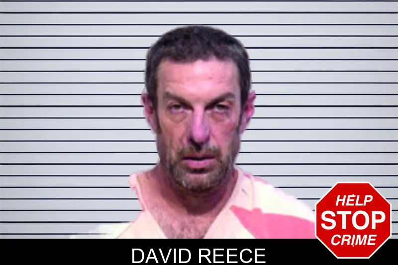 David Reece mugshot – Bartow County , Georgia David Reece mugshot