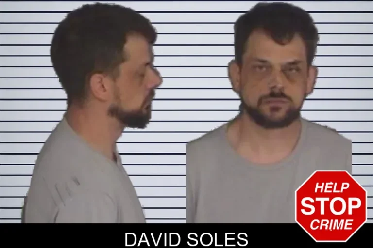 David Soles