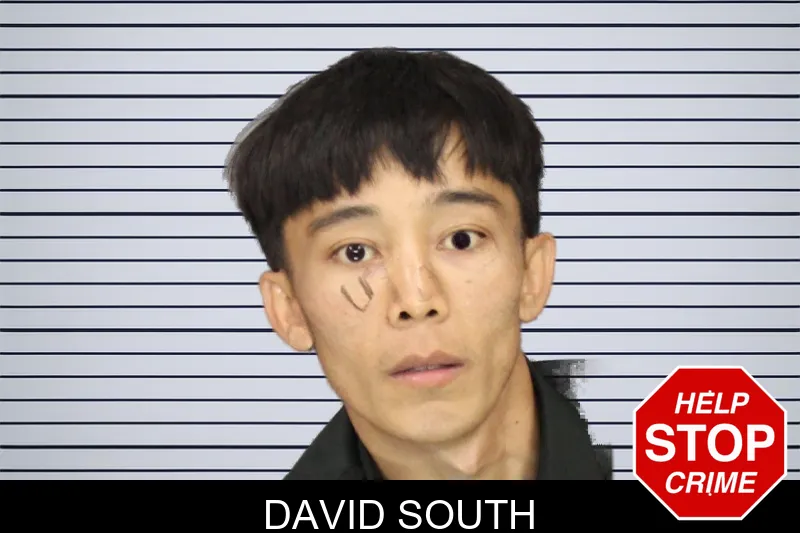David South mugshot – Cobb County , Georgia David South mugshot