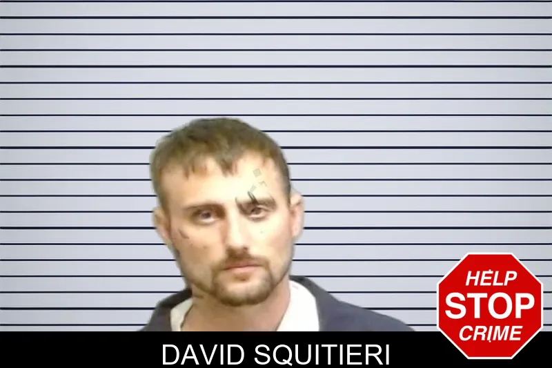 David Squitieri mugshot – Fulton County , Georgia David Squitieri mugshot