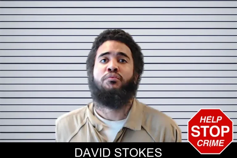 David Stokes