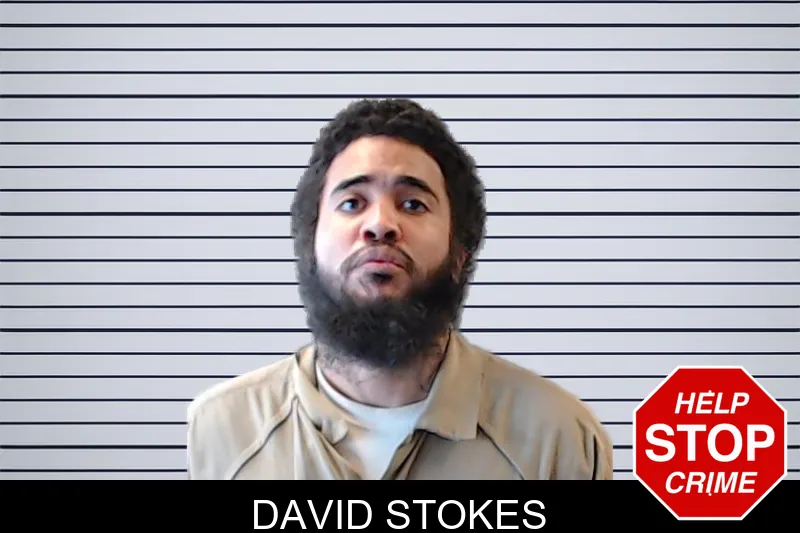 David Stokes mugshot – DeKalb County , Georgia David Stokes mugshot