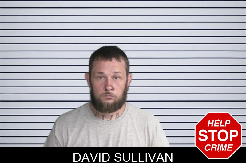 David Sullivan mugshot