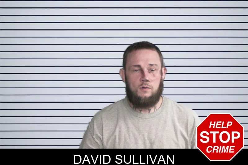 David Sullivan mugshot