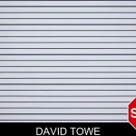 David Towe mugshot