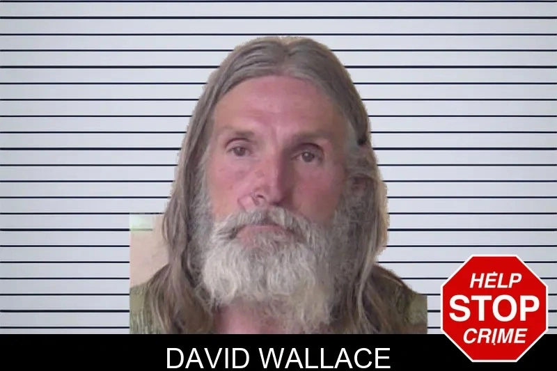 David Wallace mugshot – Walker County , Georgia David Wallace mugshot