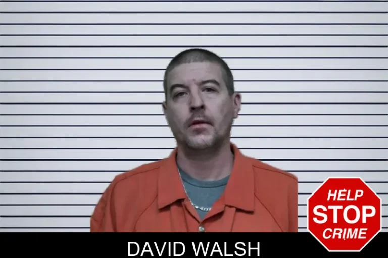 David Walsh