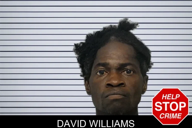 David Williams
