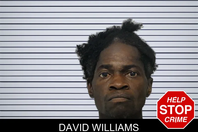 David Williams mugshot