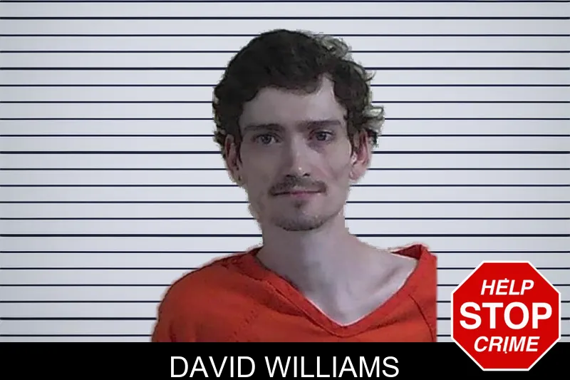 David Williams mugshot – Fannin County , Georgia David Williams mugshot