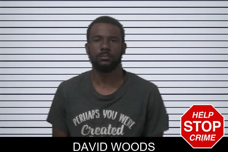 David Woods mugshot – Sumter County , Georgia David Woods mugshot