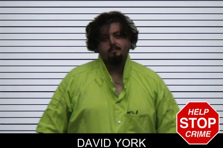 David York