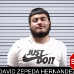 David Zepeda Hernandez mugshot