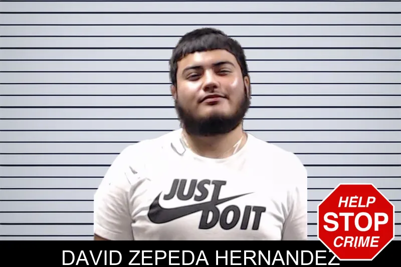 David Zepeda Hernandez mugshot