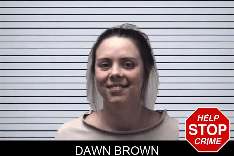 Dawn Brown mugshot