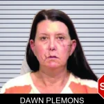 Dawn Plemons mugshot