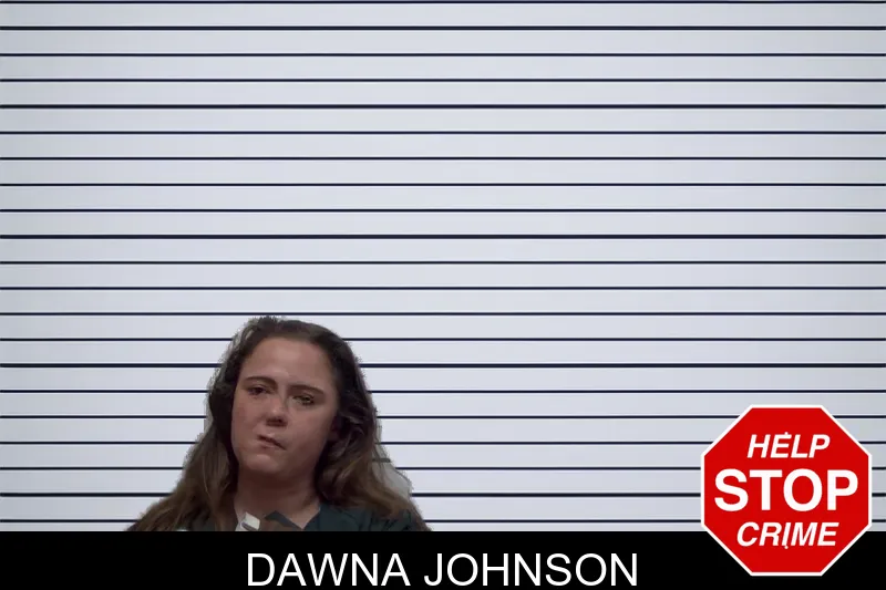 Dawna Johnson mugshot – Irwin County , Georgia Dawna Johnson mugshot