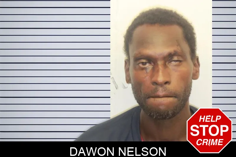 Dawon Nelson mugshot