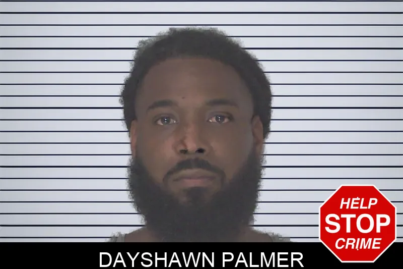 Dayshawn Palmer mugshot – Douglas County , Georgia Dayshawn Palmer mugshot