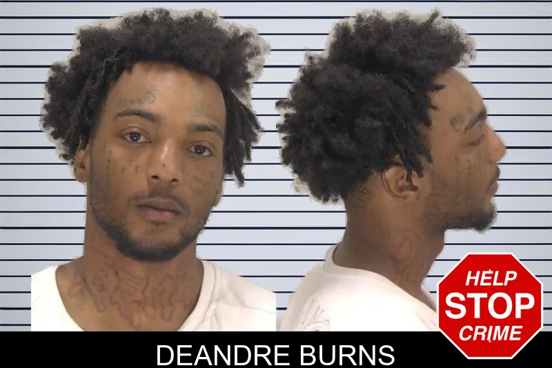 Deandre Burns mugshot – Richmond County , Georgia Deandre Burns mugshot