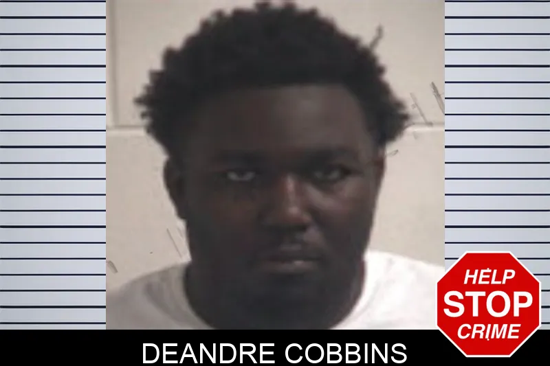 Deandre Cobbins mugshot – Henry County , Georgia Deandre Cobbins mugshot