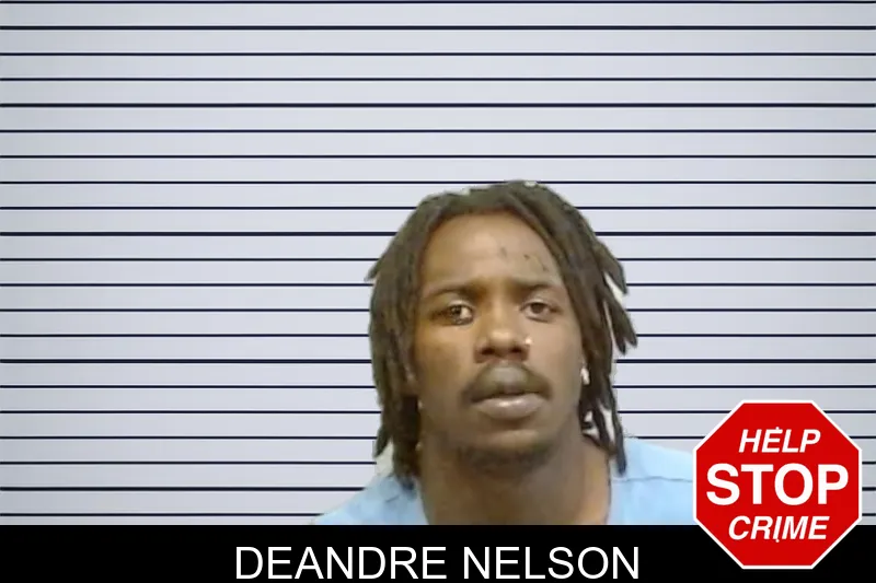 Deandre Nelson mugshot
