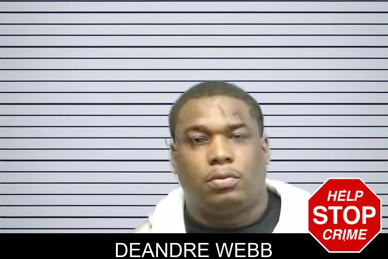 Deandre Webb mugshot