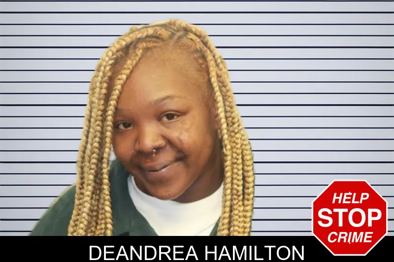 Deandrea Hamilton mugshot – Chatham County , Georgia Deandrea Hamilton mugshot