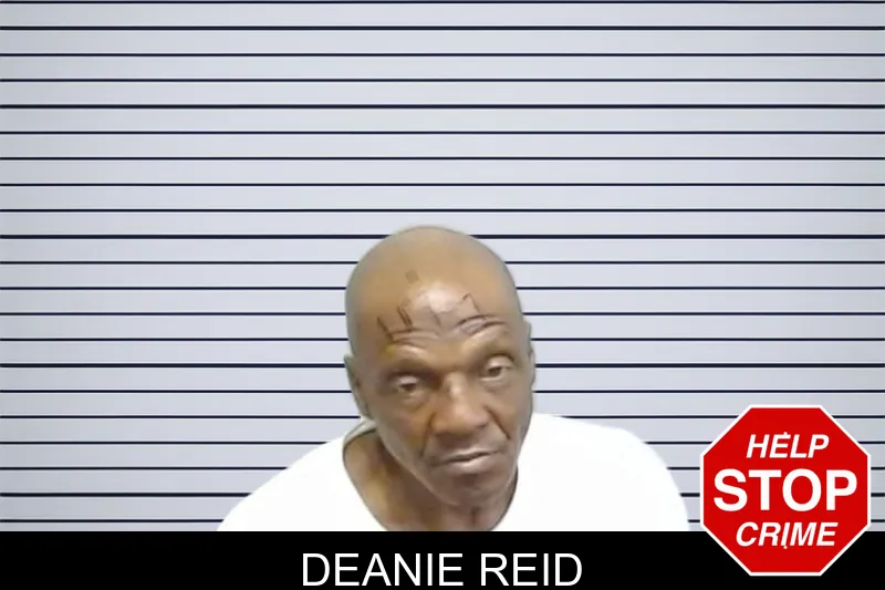 Deanie Reid mugshot – Fulton County , Georgia Deanie Reid mugshot