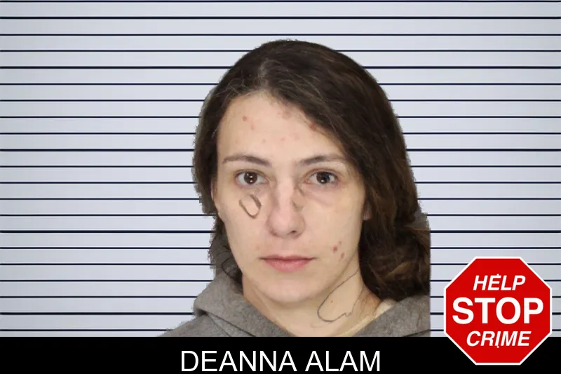 Deanna Alam mugshot – Cobb County , Georgia Deanna Alam mugshot