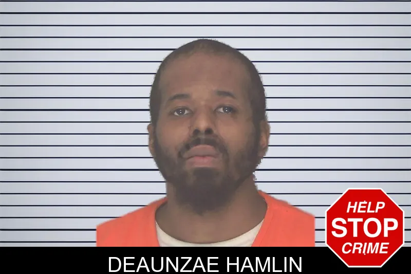 Deaunzae Hamlin mugshot – Douglas County , Georgia Deaunzae Hamlin mugshot