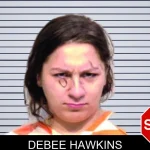 Debee Hawkins mugshot