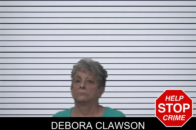 Debora Clawson mugshot
