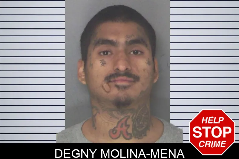 Degny Molina-Mena mugshot