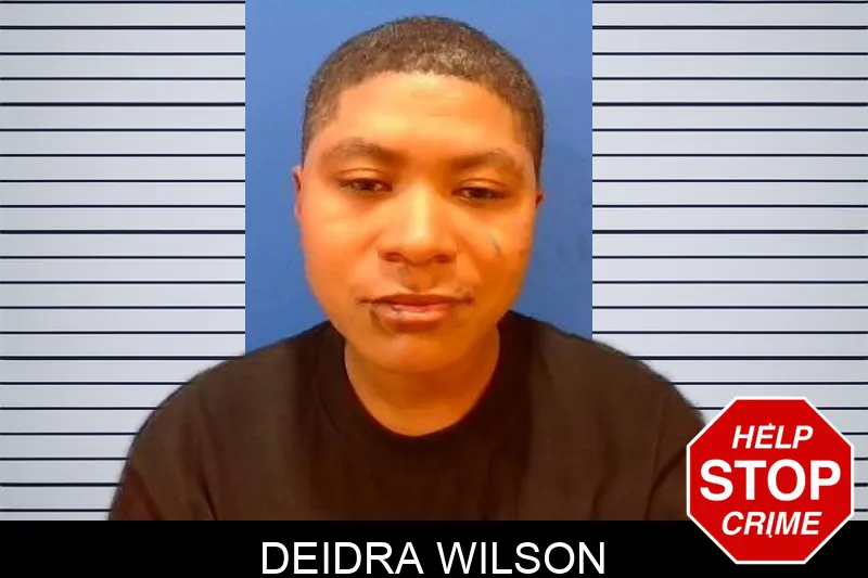 Deidra Wilson mugshot – Troup County , Georgia Deidra Wilson mugshot